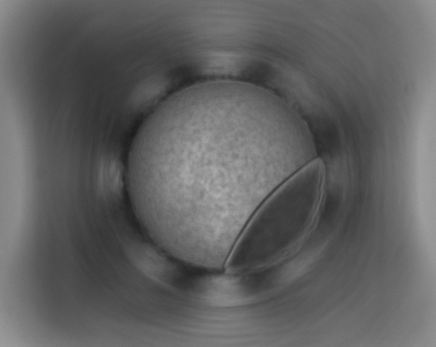 X0000113960692200910021526