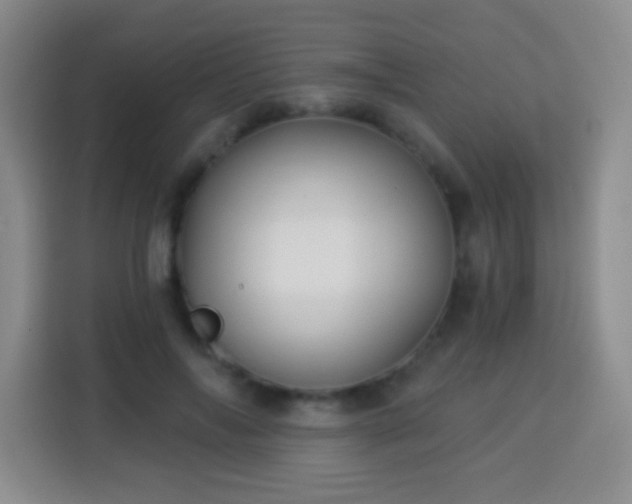 X0000113960694200910021526