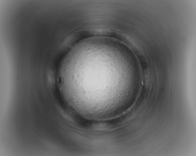 X0000113960695200910021526