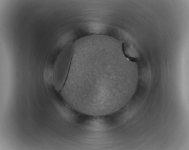 X0000113960696200910021526