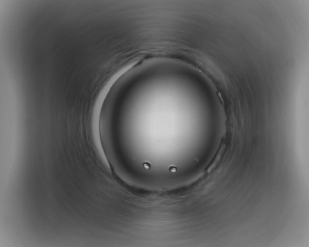 X0000113960697200910021526