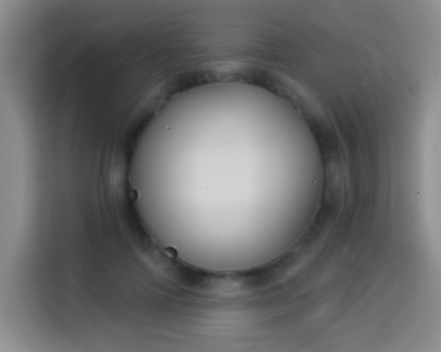 X0000113960698200910021526