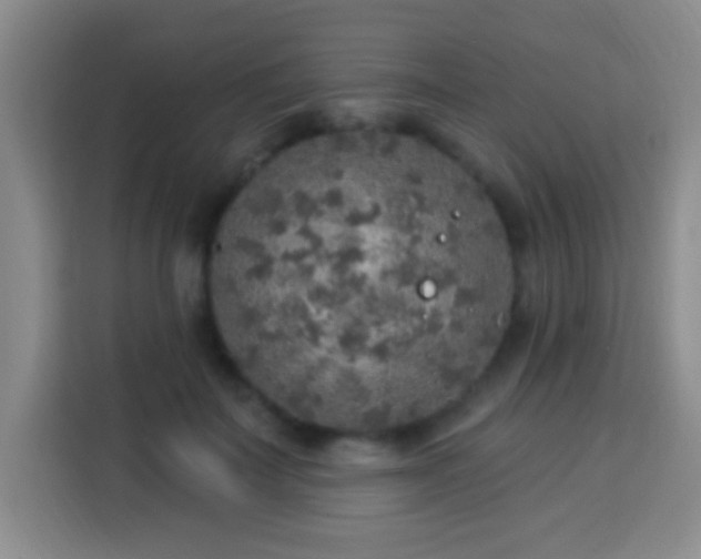 X0000113960699200910021526