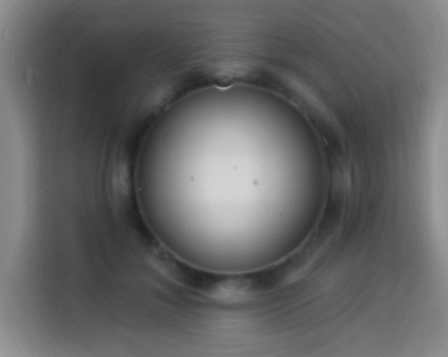 X0000113960700200910021526