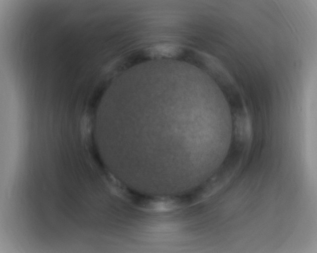 X0000113960701200910021526