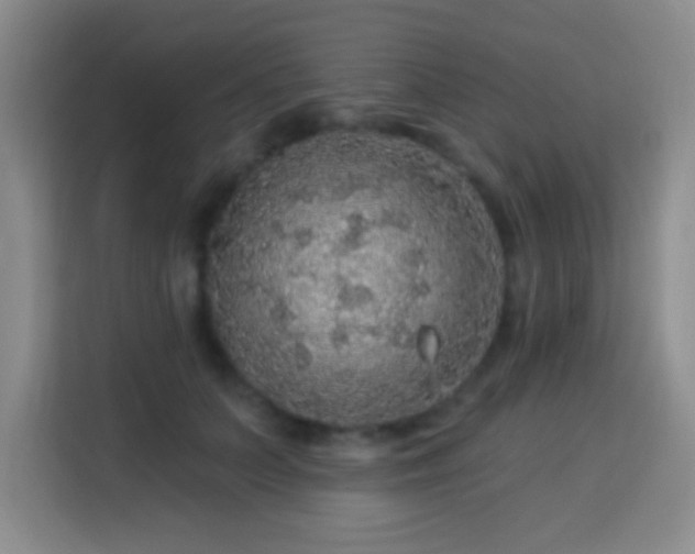 X0000113960703200910021526