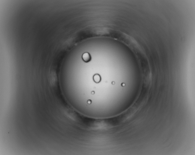 X0000113960704200910021526