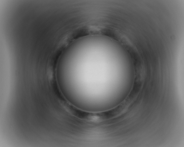 X0000113960706200910021526