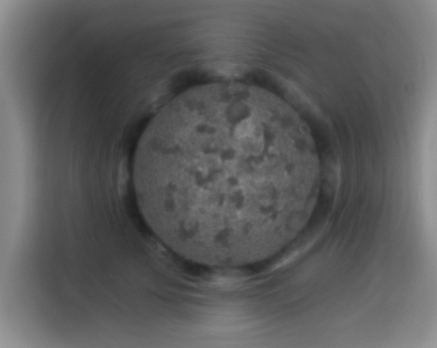 X0000113960707200910021526