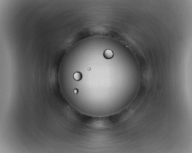 X0000113960708200910021526