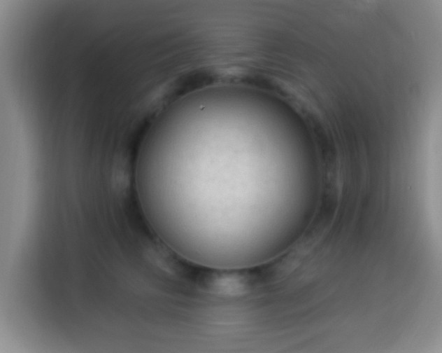 X0000113960710200910021526