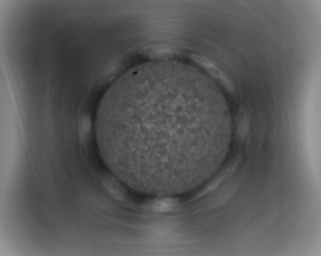 X0000113960711200910021526