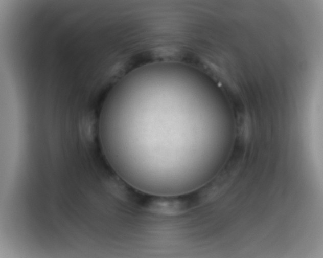 X0000113960712200910021526