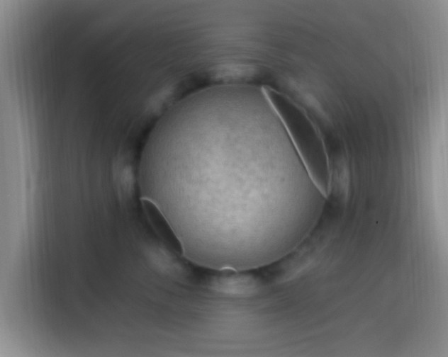 X0000113960716200910021526