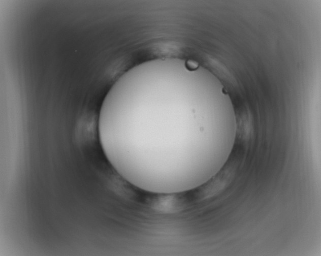 X0000113960717200910021526