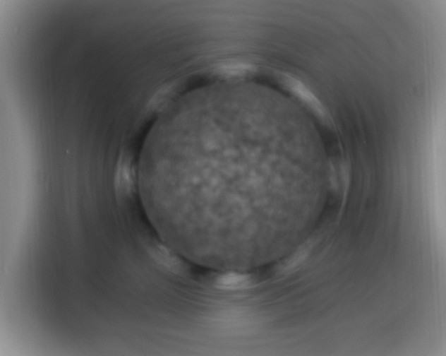 X0000113960718200910021526