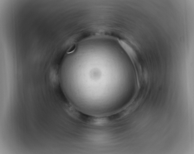 X0000113960719200910021526