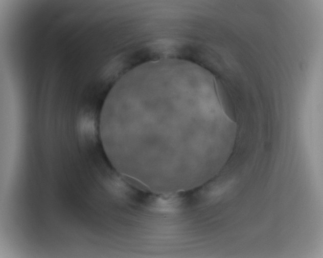 X0000113960720200910021526