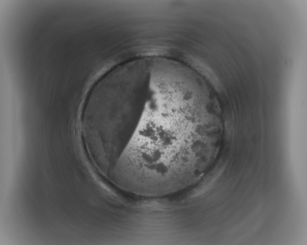 X0000113960721200910021525