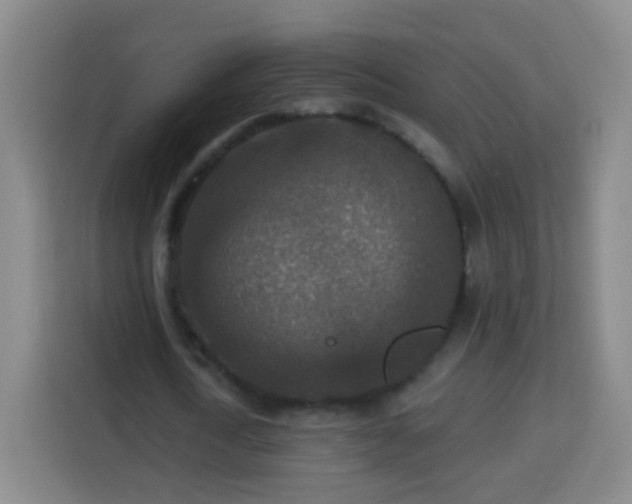 X0000113960722200910021525