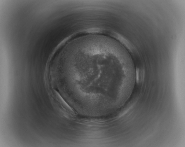 X0000113960723200910021525