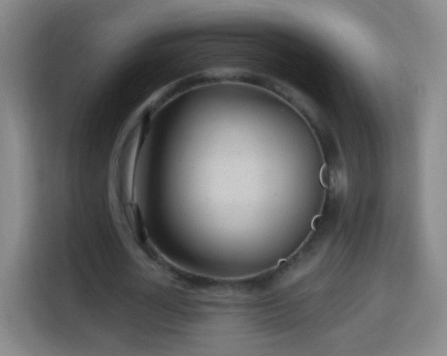 X0000113960724200910021525