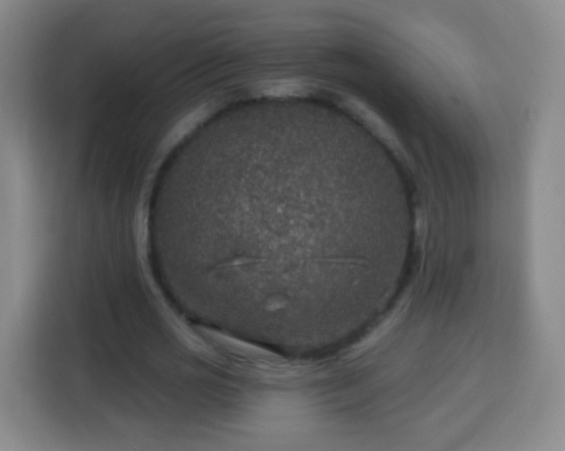 X0000113960725200910021525