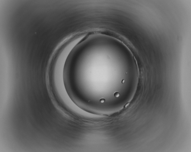 X0000113960726200910021525