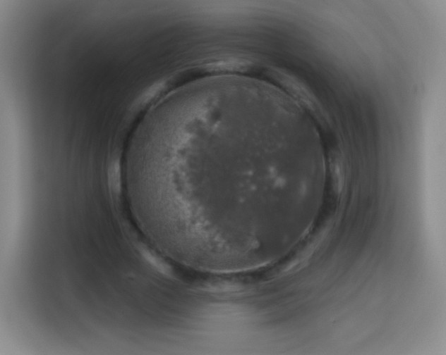 X0000113960729200910021525