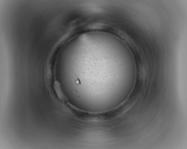 X0000113960731200910021525