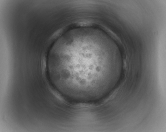 X0000113960733200910021525