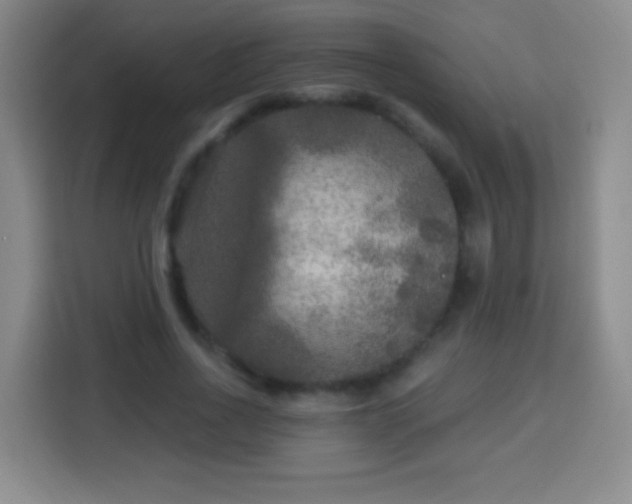 X0000113960734200910021525