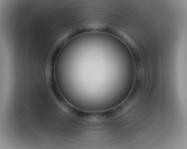 X0000113960736200910021525