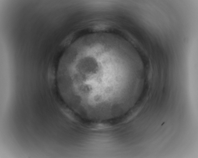 X0000113960737200910021525