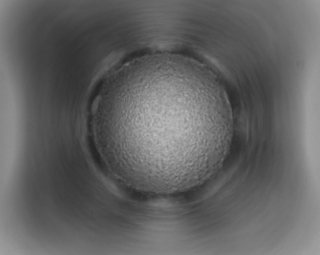 X0000113960738200910021525