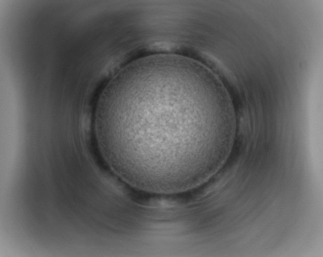 X0000113960739200910021525