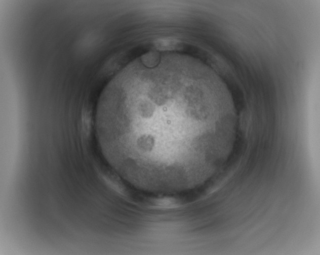 X0000113960741200910021525