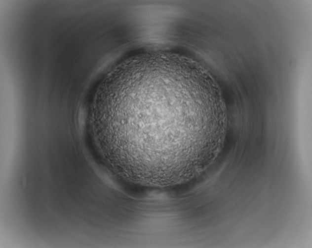 X0000113960742200910021525