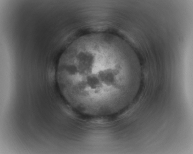 X0000113960745200910021525