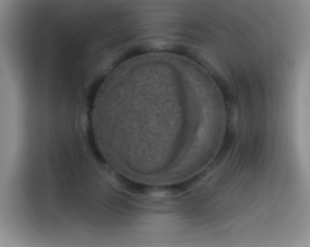 X0000113960746200910021525