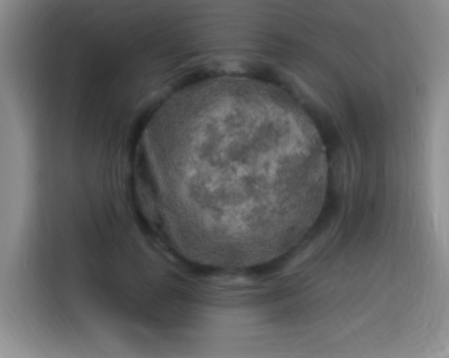 X0000113960747200910021525