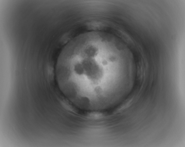 X0000113960749200910021525