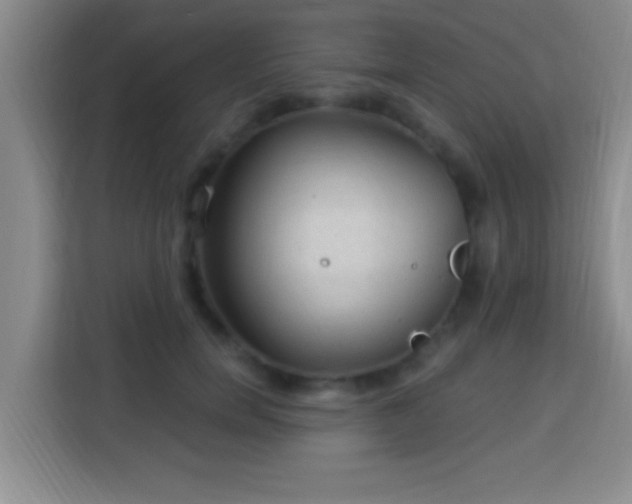 X0000113960750200910021525