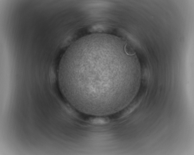 X0000113960751200910021525