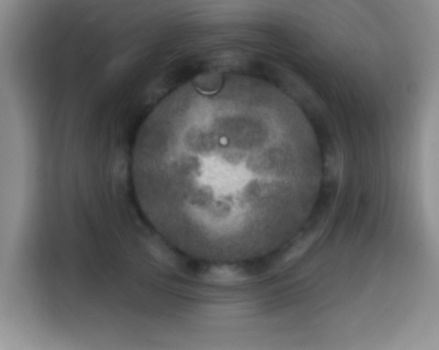 X0000113960753200910021525