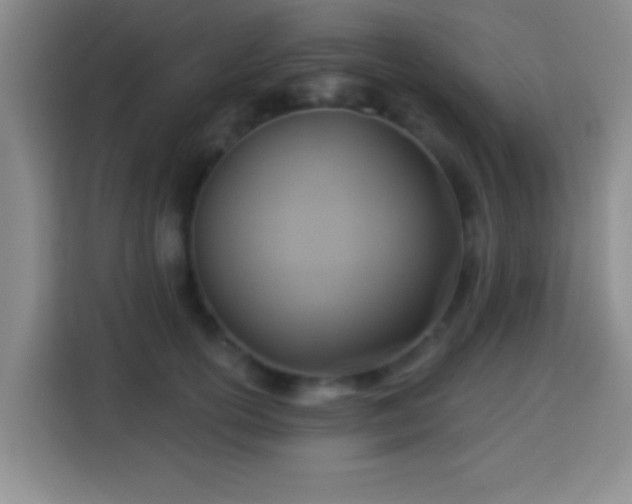 X0000113960754200910021525