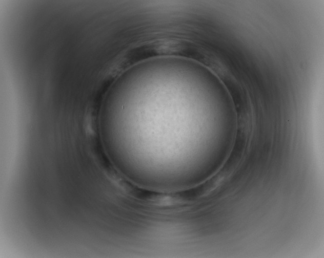 X0000113960755200910021525