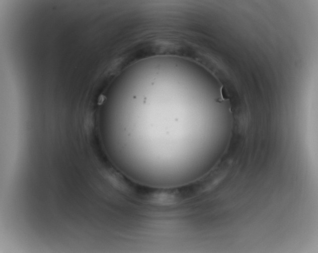 X0000113960756200910021525