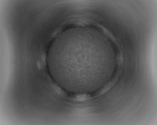 X0000113960757200910021525