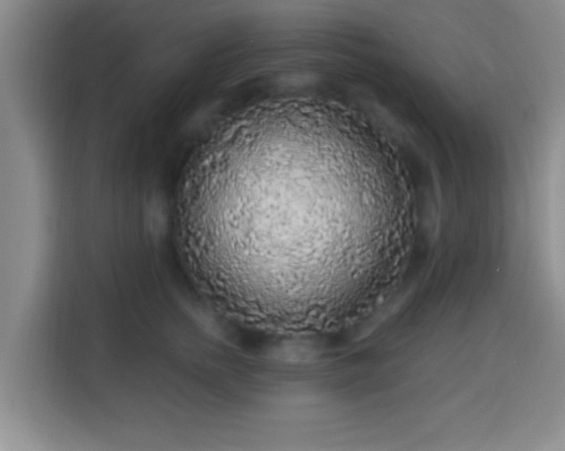 X0000113960758200910021525